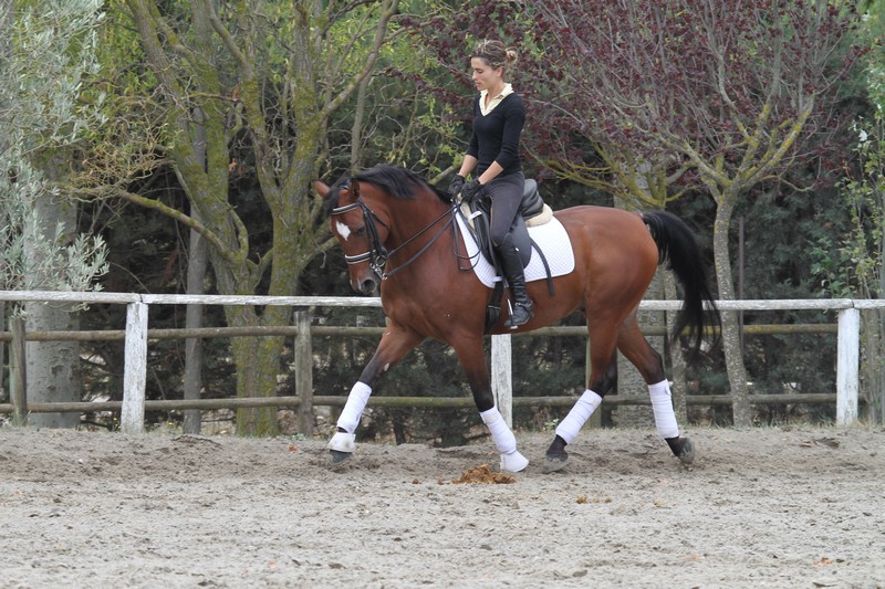 La Amazona Internacional Teresa Jauquicoa ha impartido un Clinic en Navarra